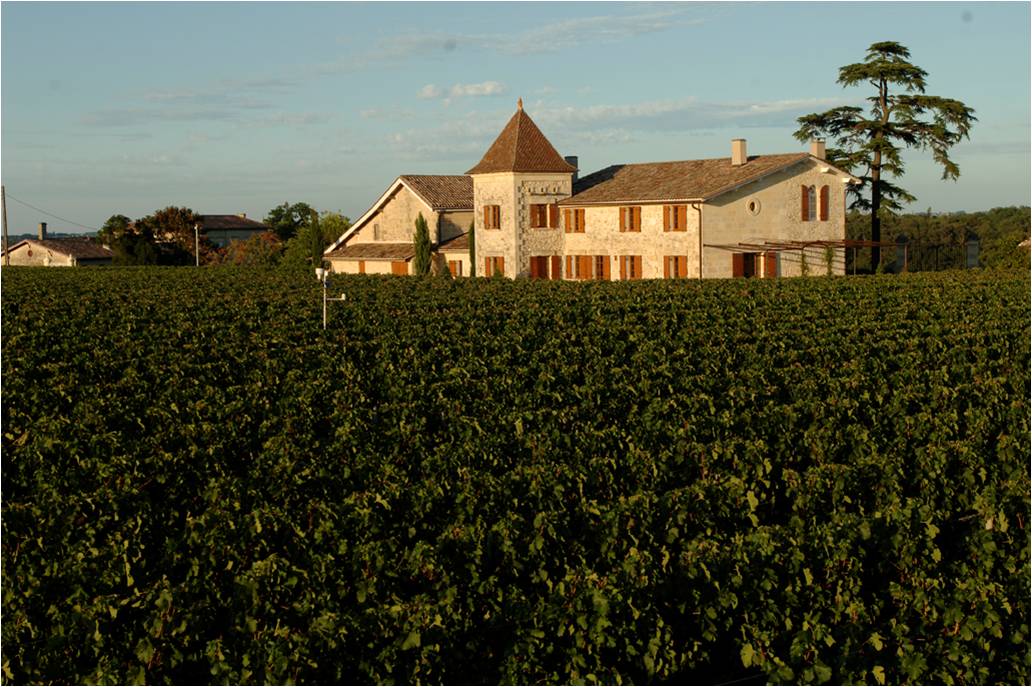 CHATEAU LA MONDOTTE